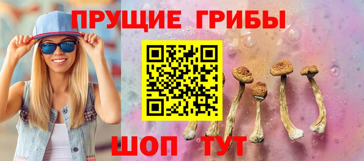 Галлюциногенные грибы прущие грибы Бердск