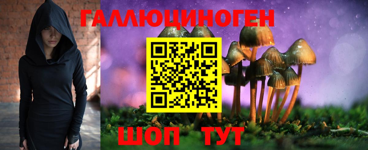 Бердск  Псилоцибиновые грибы ЛСД  Галлюциногенные грибы Magic Shrooms  Вход с VPN 