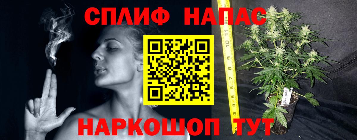 Бошки Шишки Bruce Banner  Вход с VPN  МАРИХУАНА THC 21%  Бошки марихуана AK-47  Каннабис VHQ  Бердск 